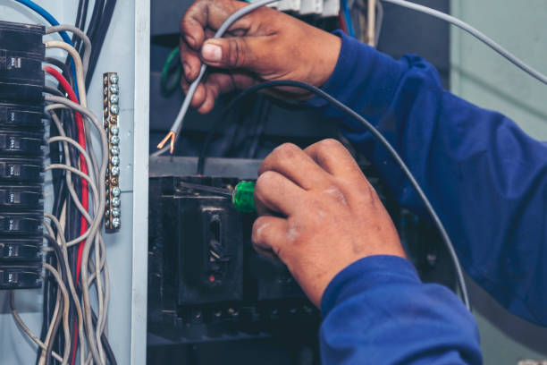 Best Ceiling Fan Installation Electrician  in Vivian, LA